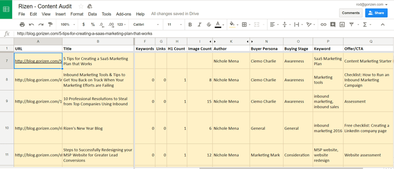 Rizen Content Audit